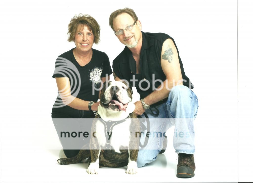bulldog  bash
