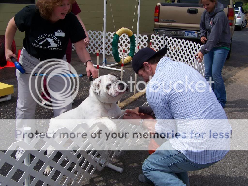 [linked image]