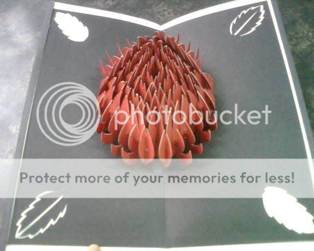 THIỆP phong cách Nhật - 3