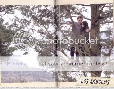 normal_Book_019.jpg picture by bellatatiana