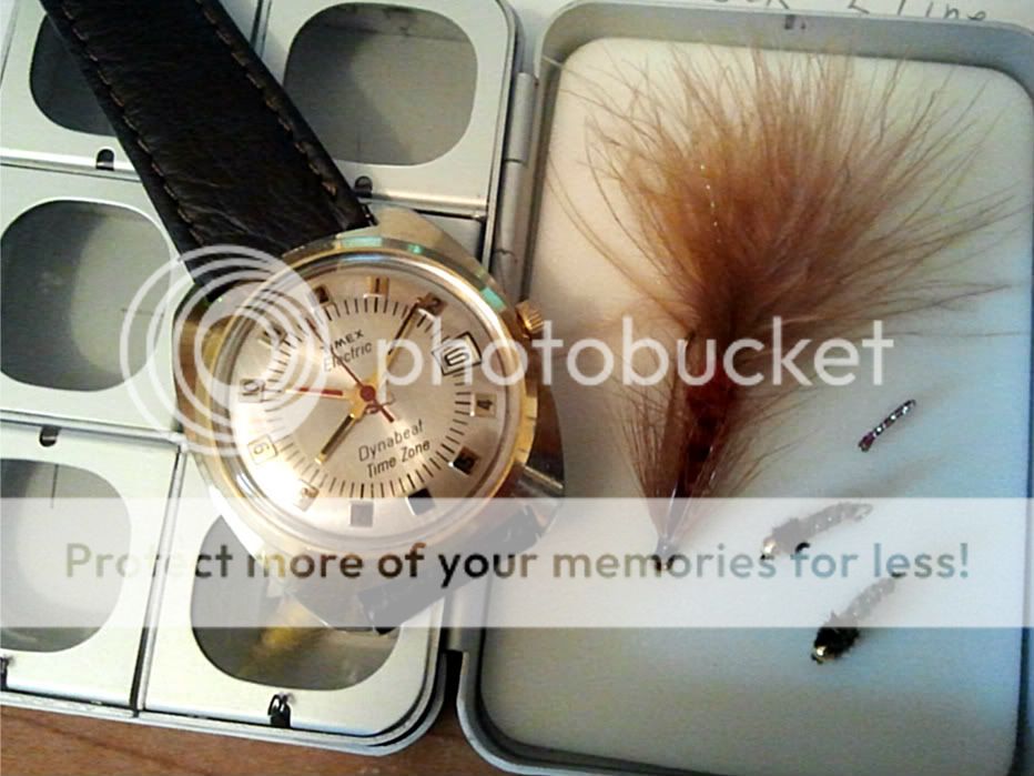 timex dynabeat watch