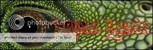 banner3pg