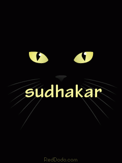 blackcat240x320.gif