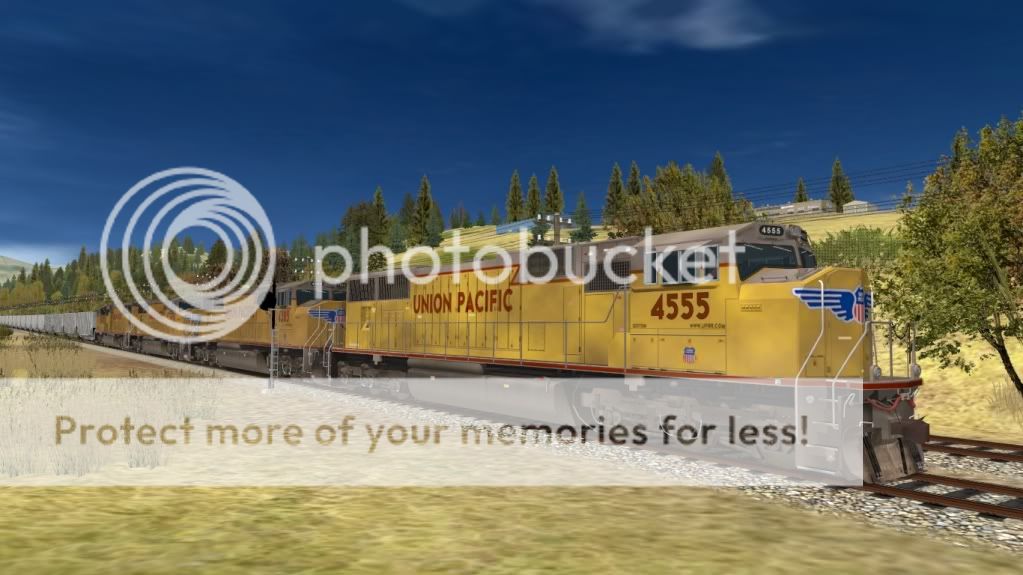 wfd_sd704.jpg